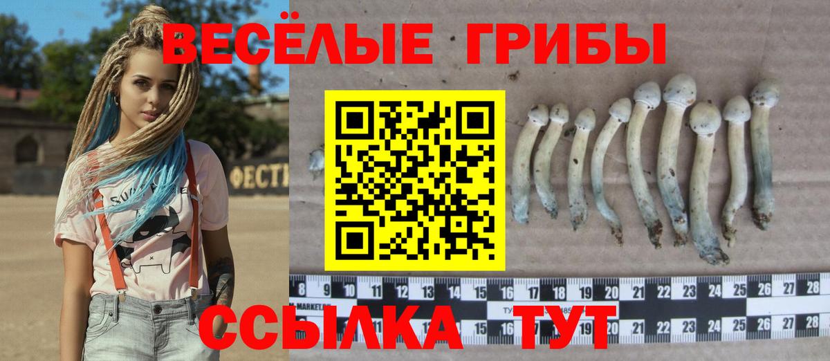 купить наркотик  Псилоцибиновые грибы ЛСД  Псилоцибиновые грибы GOLDEN TEACHER  Вход с VPN  Лыткарино 